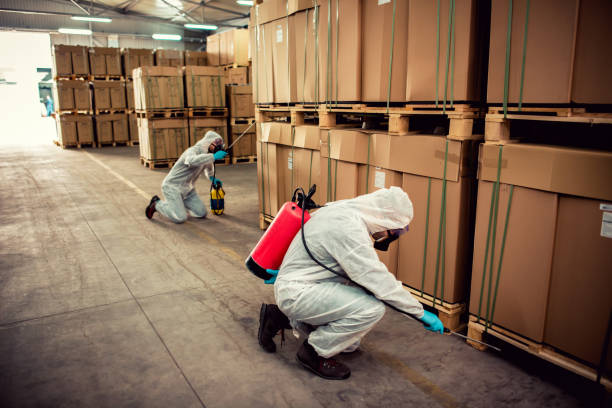 Best Affordable Pest Control Services  in Longtown, OK