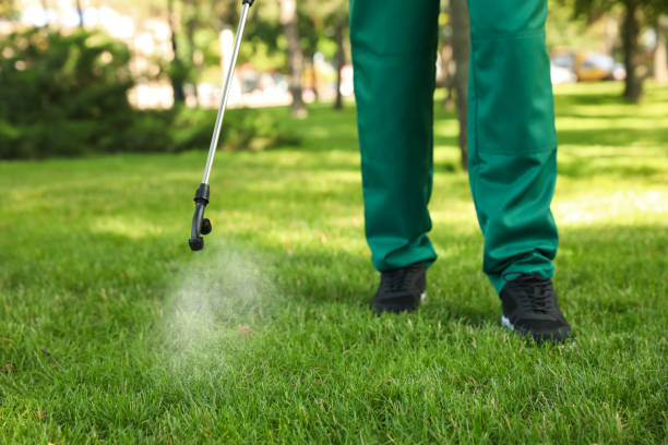 Best Cockroach Control Services  in Longtown, OK