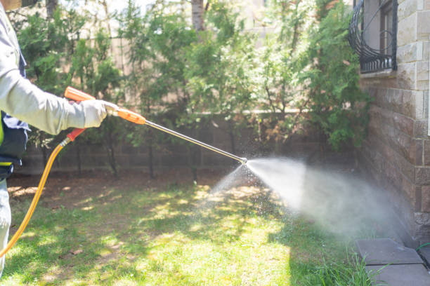 Best Cockroach Control Services  in Longtown, OK