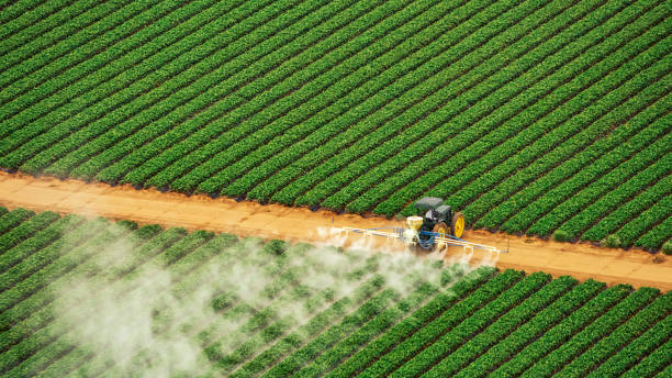 Best Pest Prevention Services  in Longtown, OK