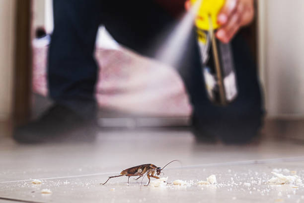  Longtown, OK Pest Control Pros