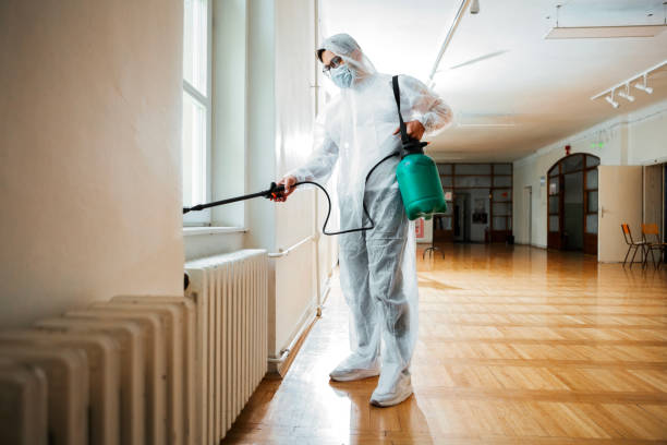 Best Exterminator Services  in Longtown, OK